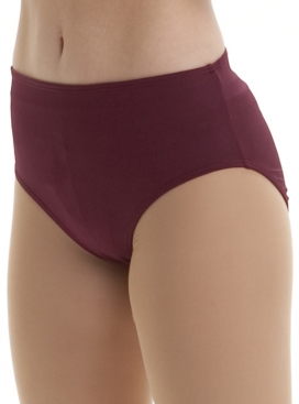 504 Basic Brief